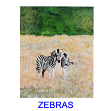 zebras